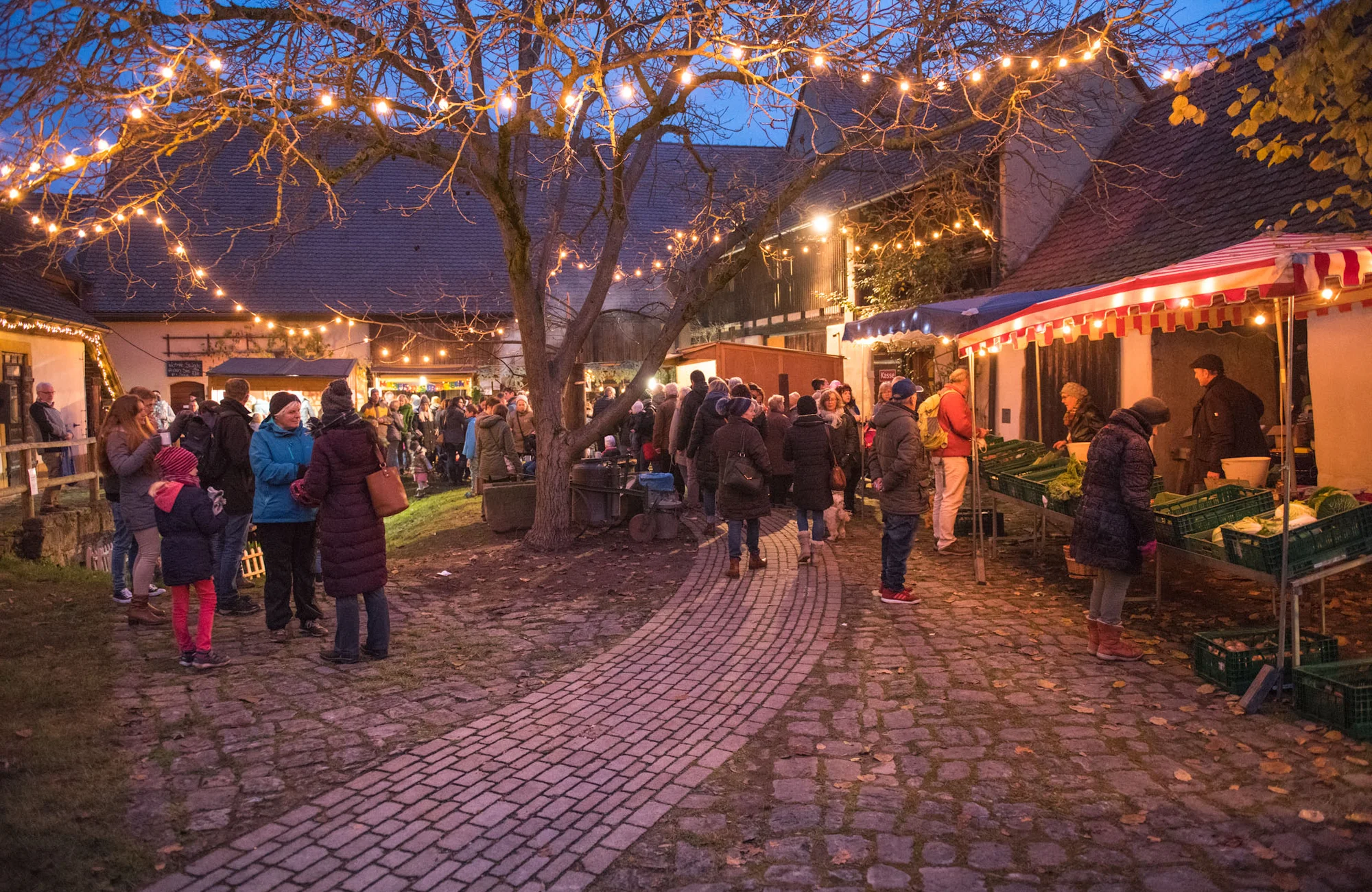 1.Martinimarkt Frensdorf 2019 11 16