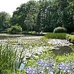 Der Stadtpark mit Theresien- und Luisenhain sowie botanischen Garten verfügt über viele Spazierwege. Vom ehemaligen Mühlenviertel aus oder am Alten Kanal entlang der Regnitz gelangt man in wenigen Minuten auf romantischen Pfaden in dieses Naherholungsgebiet.