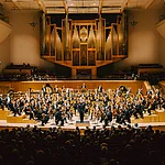 Die Bamberger Symphoniker in ihrer Heimstatt  dem Joseph-Keilberth-Saal in der Konzerthalle Bamberg.