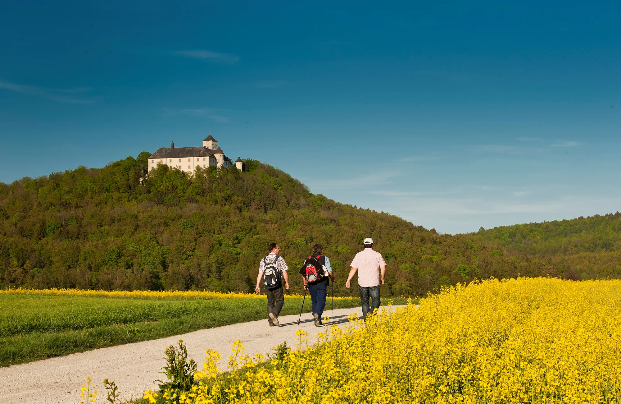 Reizvoll auf einem hohen Bergrücken des Fränkischen Jura erhebt sich die Burg Schloss Greifenstein, seit 300 Jahren fast unverändert im Besitz der Familie Stauffenberg.