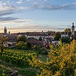 Das Foto zeigt den Weinberg der Klosteranlage St. Michael