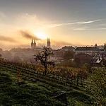 Die Sonne geht über dem Bamberger Dom auf mit dem Weinberg am Michaelsberg im Vordergrund.