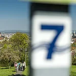 Auf dem 200 km langen Sieben-Flüsse-Wanderweg lässt sich die Vielfalt der Region erleben: touristische Höhepunkte, Kleinode am Wegesrand, romantische Fachwerkdörfer, besondere Naturerlebnisse und fränkische Genüsse.