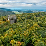 Über den Baumwipfeln im Steigerwelad erhebt sich der Aussichtsturm des Baumwipfelpfads