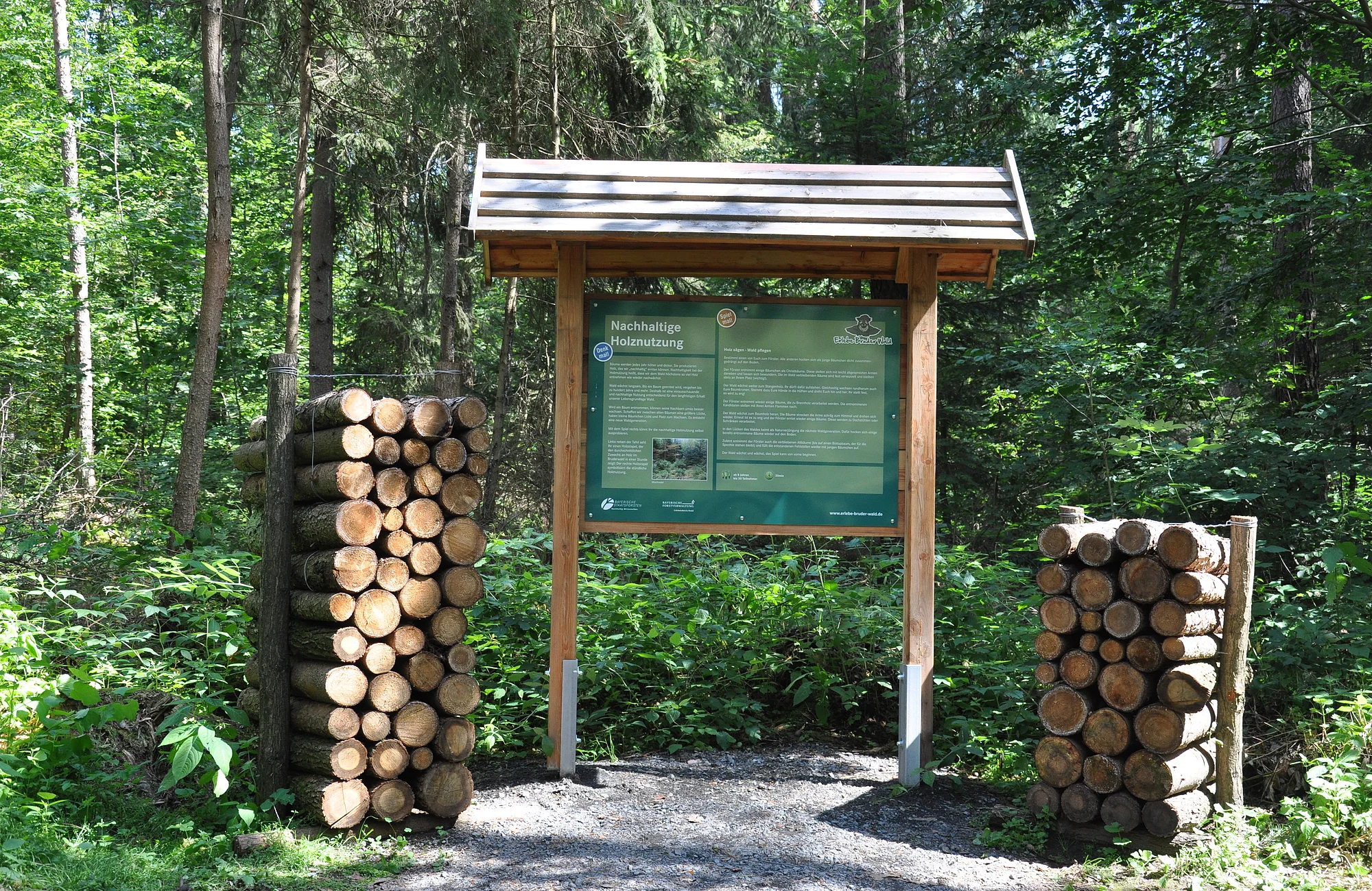An zwanzig liebevoll gestalteten Stationen wird der Wald zum Klassenzimmer und Abenteuerspielplatz.