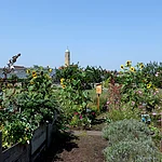 Der Garten hinter dem Gärtnerhaus des Gärtner- und Häckermuseum.