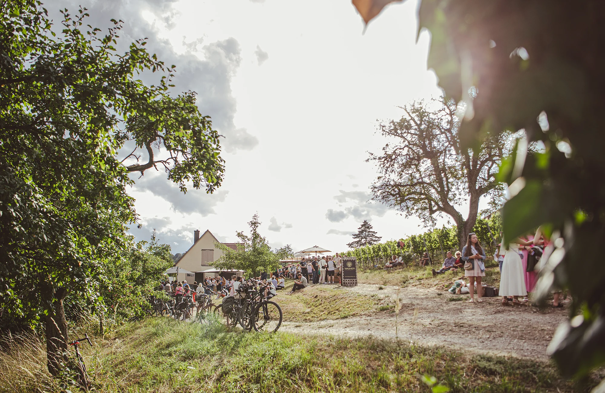 Das Winzergebäude am Michaelsberg in Bamberg kann für Veranstatungen gemietet werden.