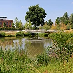 Grünes Gewächs und Gewässer im ERBA-Park, auf dem ehemaligen Gelände der Landesgartenschau 2012.
