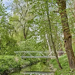 Foto einer Brücke in der Natur im Schlosspark Trabelsdorf.
