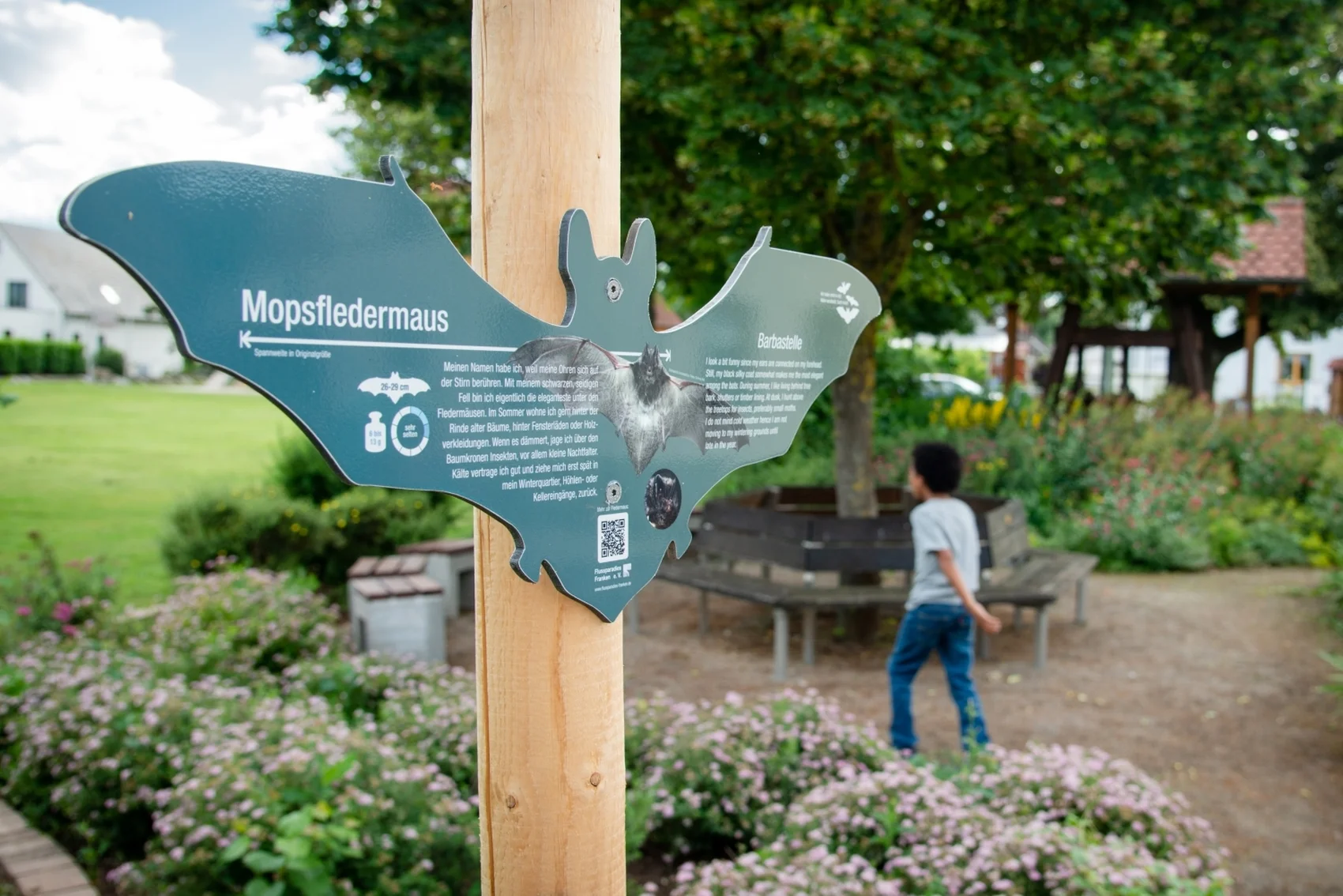 Foto eines fledermausförmigen Info-Schildes auf dem Fledermausweg zwischen Viereth und Unterhaidt.