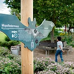 Foto eines fledermausförmigen Info-Schildes auf dem Fledermausweg zwischen Viereth und Unterhaidt.