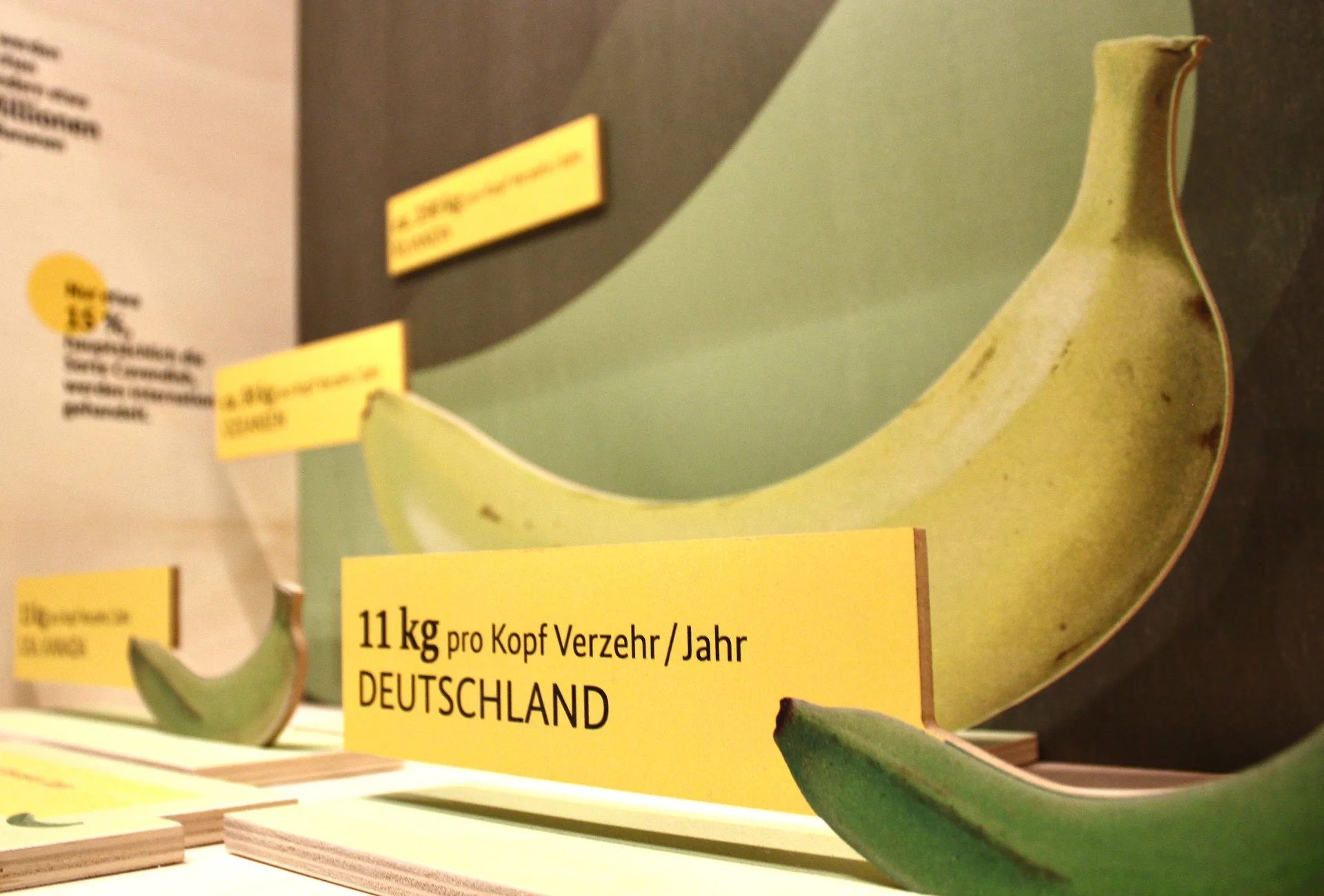 Die Banane ist das Objekt um das sich in der Sonderaustellung "BananaRama" im Naturkundemuseum in Bamberg ab 31. März 2026 alles dreht.