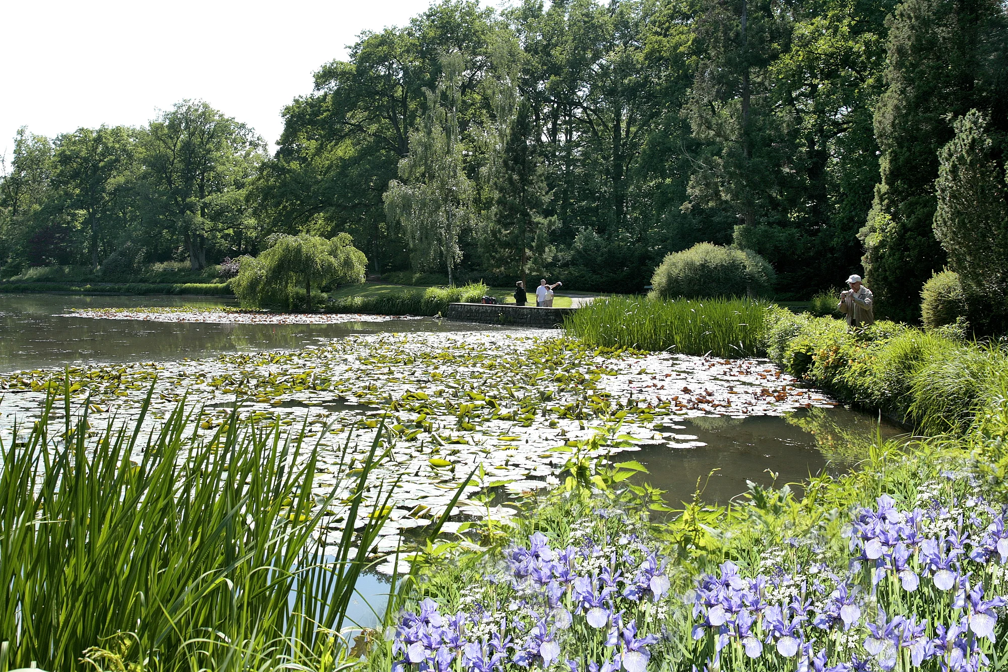 Der Stadtpark mit Theresien- und Luisenhain sowie botanischen Garten verfügt über viele Spazierwege. Vom ehemaligen Mühlenviertel aus oder am Alten Kanal entlang der Regnitz gelangt man in wenigen Minuten auf romantischen Pfaden in dieses Naherholungsgebiet.