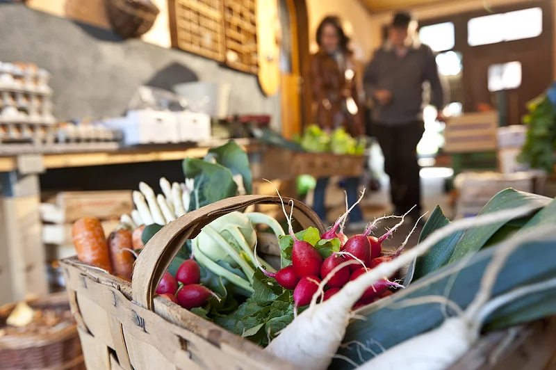 Häcker und Gärtner prägten über Jahrhunderte das Stadtbild Bambergs entscheidend mit. Die Gärtnerstadt ist heute noch ein wichtiger Teil des Weltkulturerbes und ist auch nach wie vor lebendig. Genießen Sie, was die Bamberger Gärten so alles hergeben.