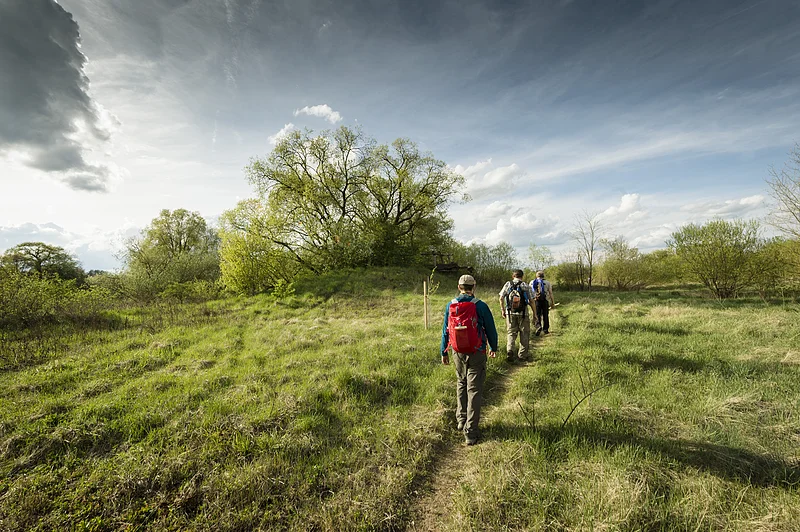 Regnitzaue bei Seußling