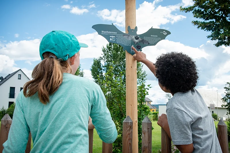 Zwei Kinder betrachten ein Info-Schild auf dem Fledermausweg zwischen Viereth und Unterhaidt.