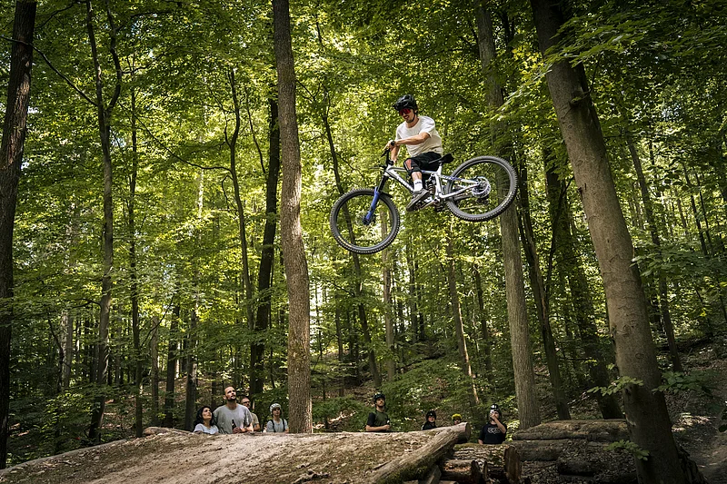 Die Mountainbike-Trails im Michaelsberger Wald